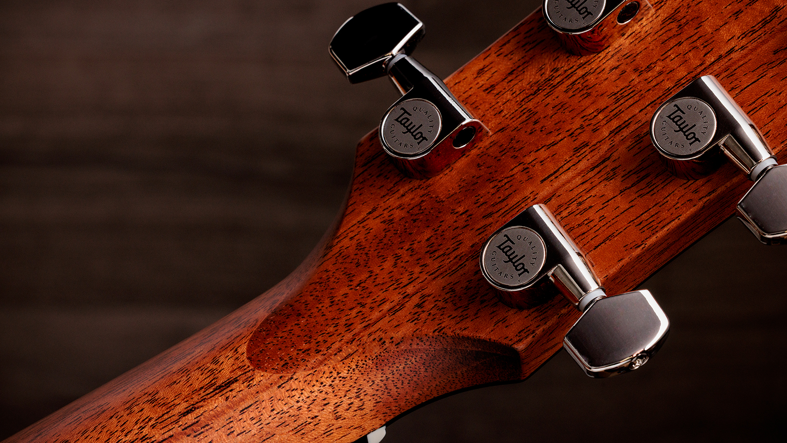 Taylor 512e Gold Label Grand Concert Cw Epicea Acajou Eb Lr Baggs - Natural - Guitarra folk - Variation 8