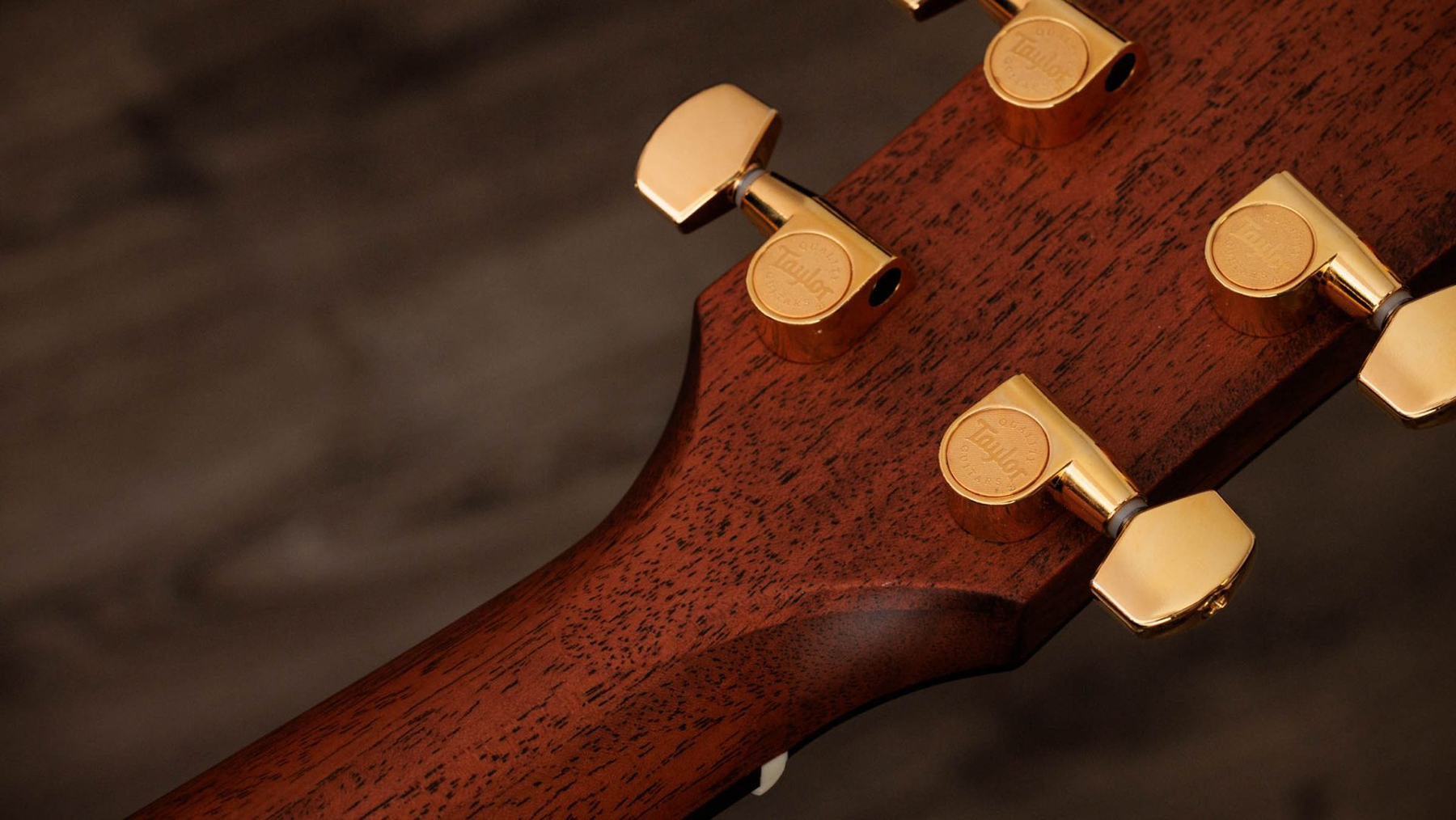 Taylor 514ce Legacy Grand Auditorium Cw Cedre Acajou Eb - Naturel - Guitarra electro acustica - Variation 6