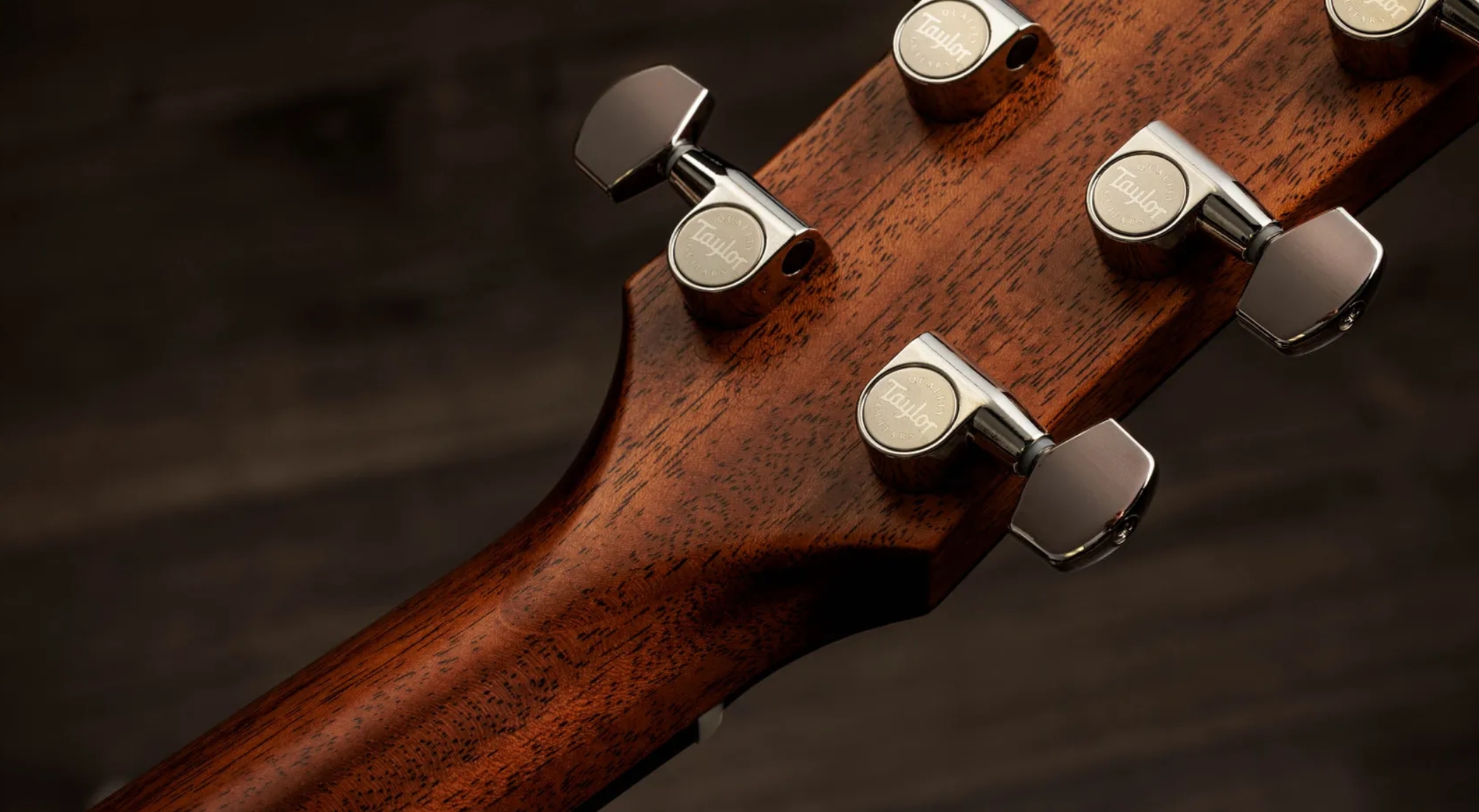 Taylor 517e Gold Label Grand Pacific Epicea Acajou Eb - Natural - Guitarra folk - Variation 9