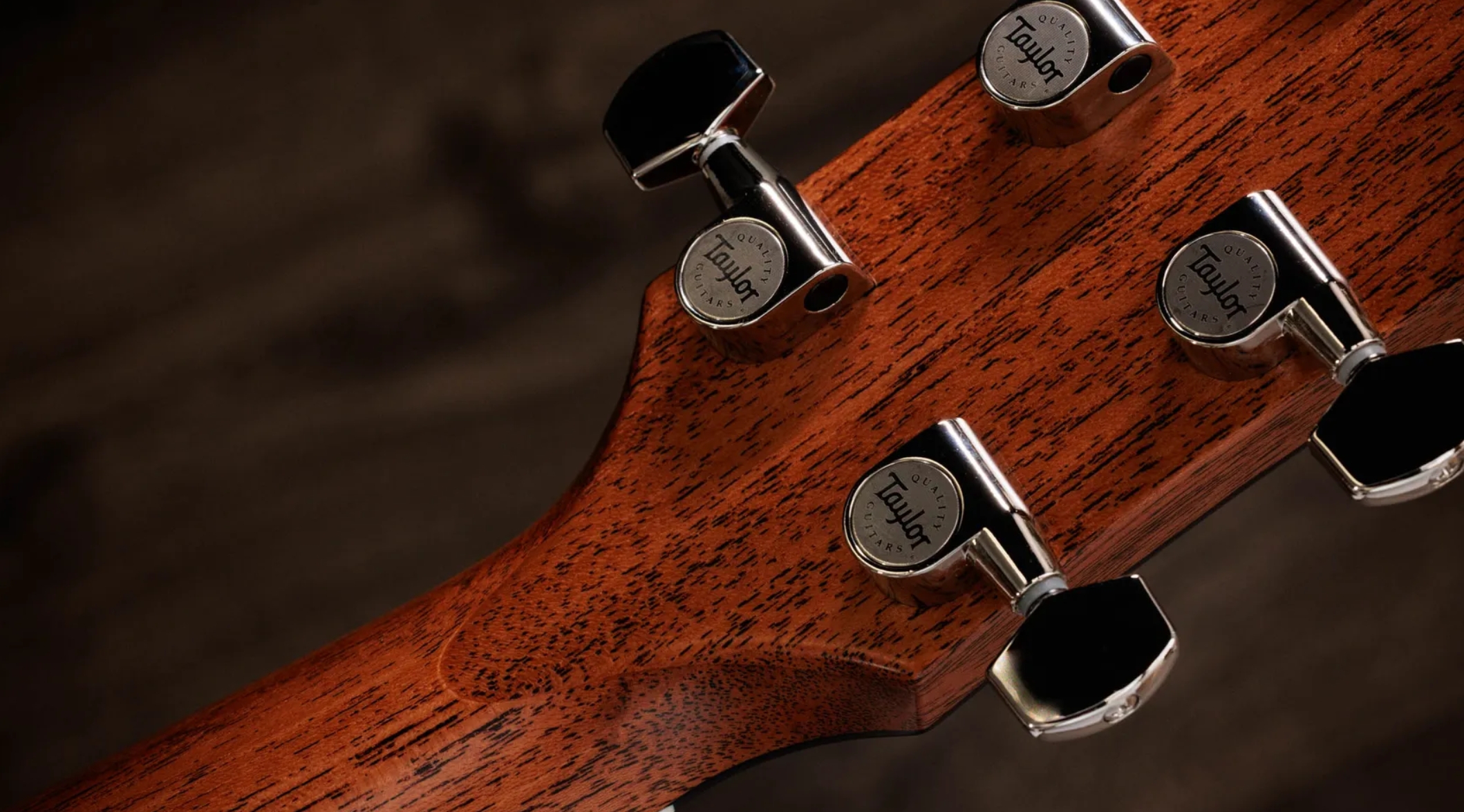 Taylor 517e Gold Label Grand Pacific Epicea Acajou Eb - Blacktop - Guitarra folk - Variation 7