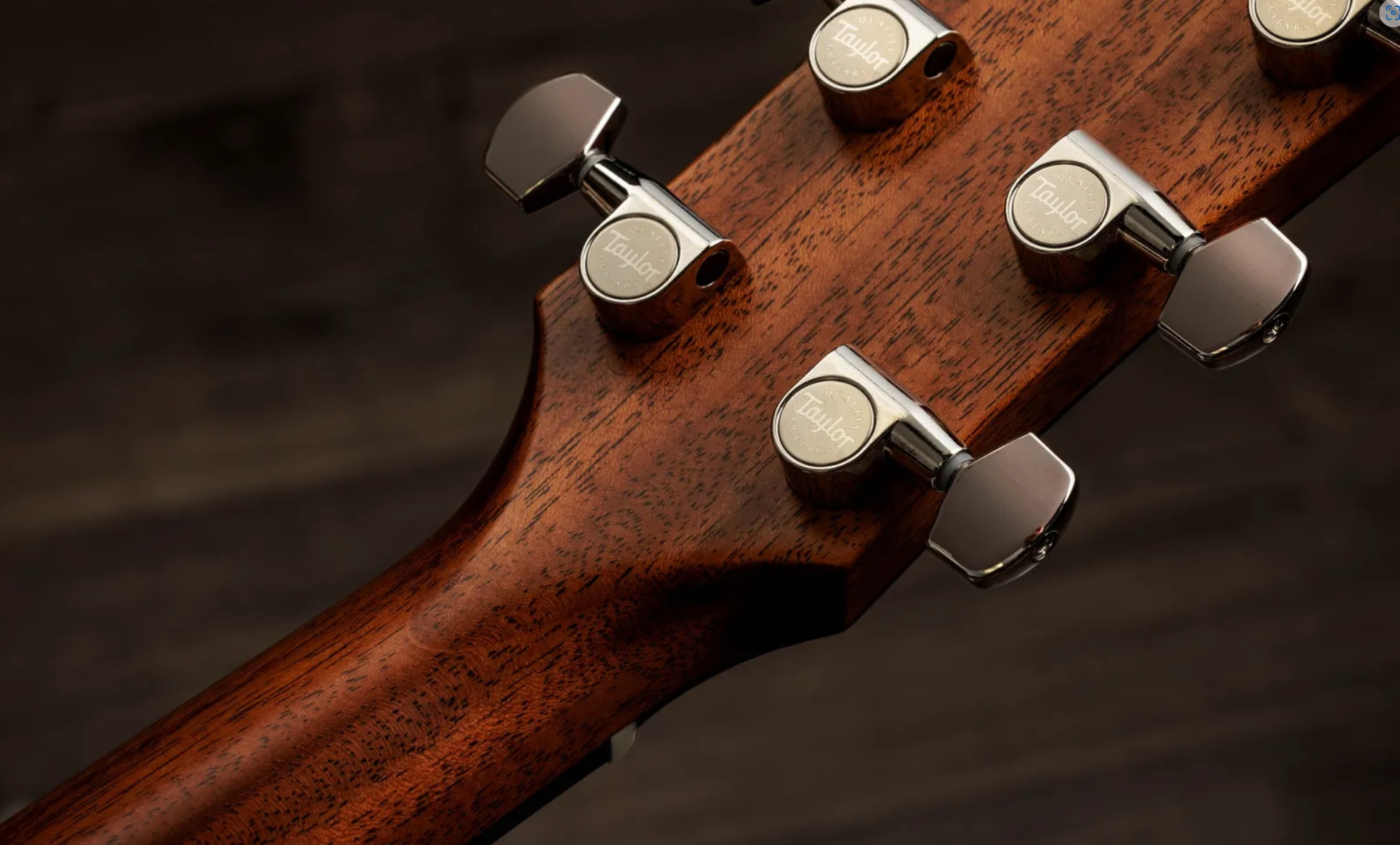 Taylor 517e Sb Gold Label Grand Pacific Epicea Acajou Eb - Sunburst W/ Cream Pickguard - Guitarra folk - Variation 9