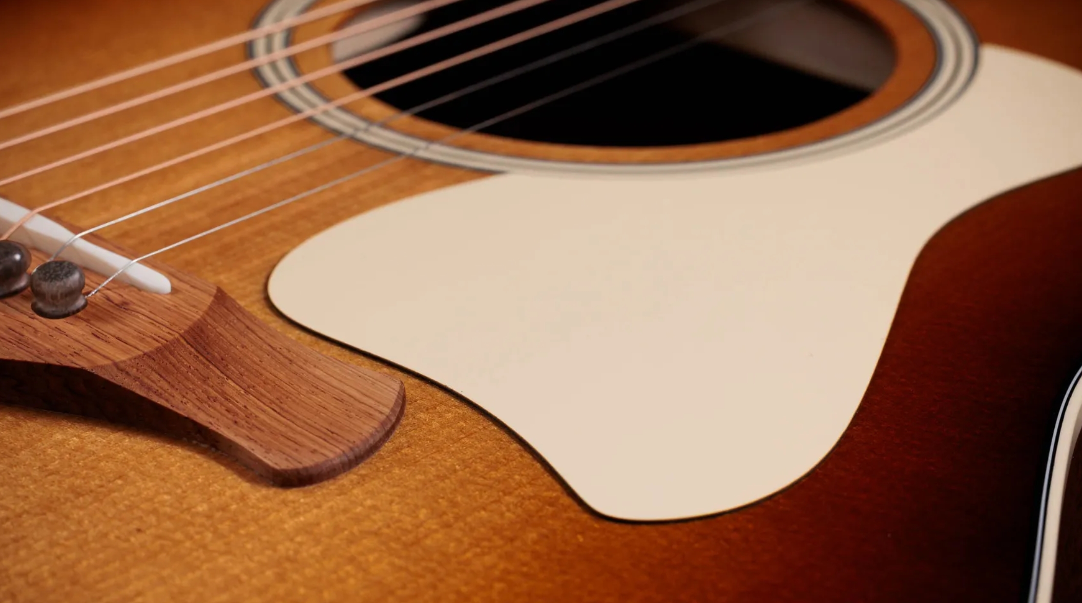 Taylor 517e Sb Gold Label Grand Pacific Epicea Acajou Eb - Sunburst W/ Cream Pickguard - Guitarra folk - Variation 3
