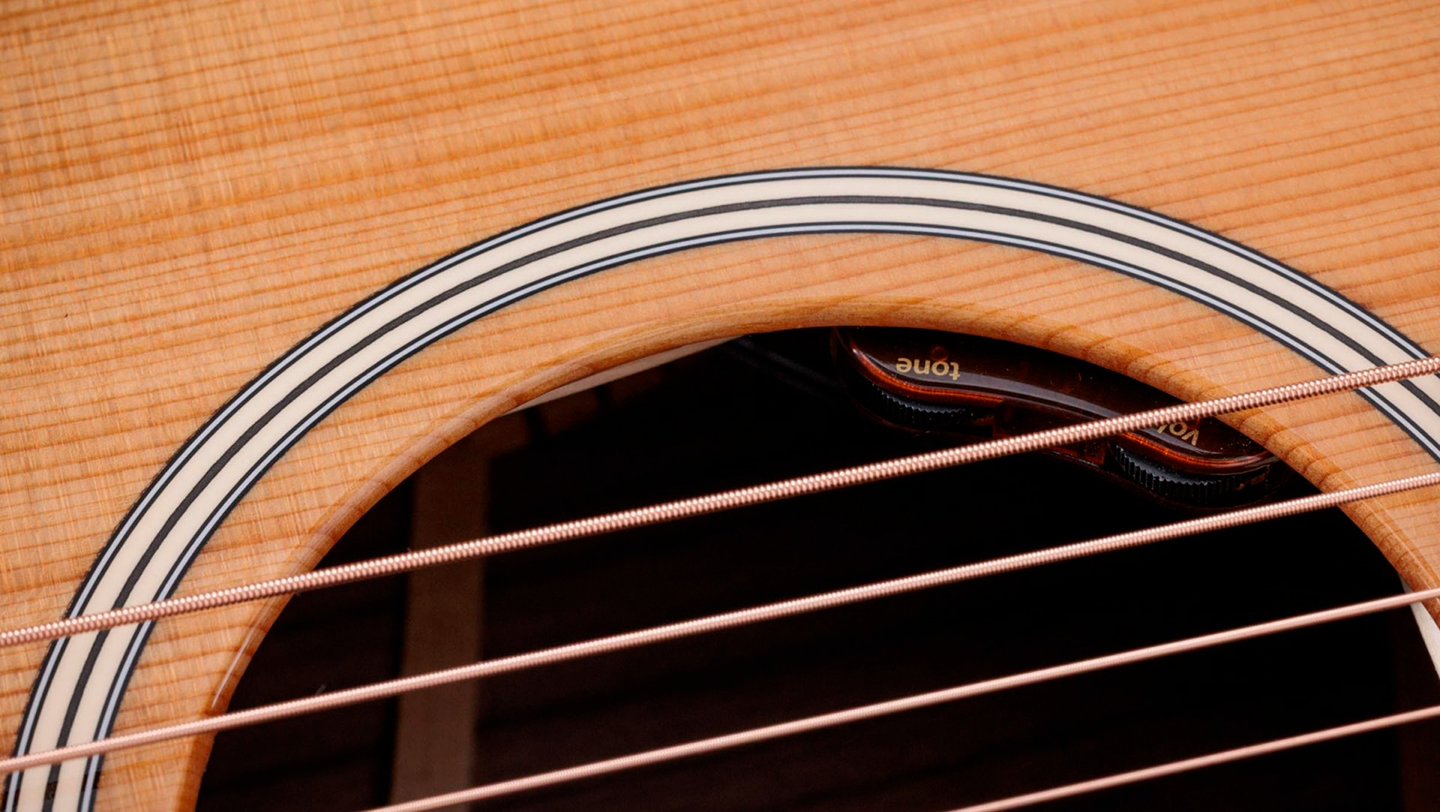 Taylor 714e Gold Label Firestripe Pg Gold Label Super Auditorium Cw Epicea Palissandre Eb Lr Baggs - Natural - Guitarra folk - Variation 5