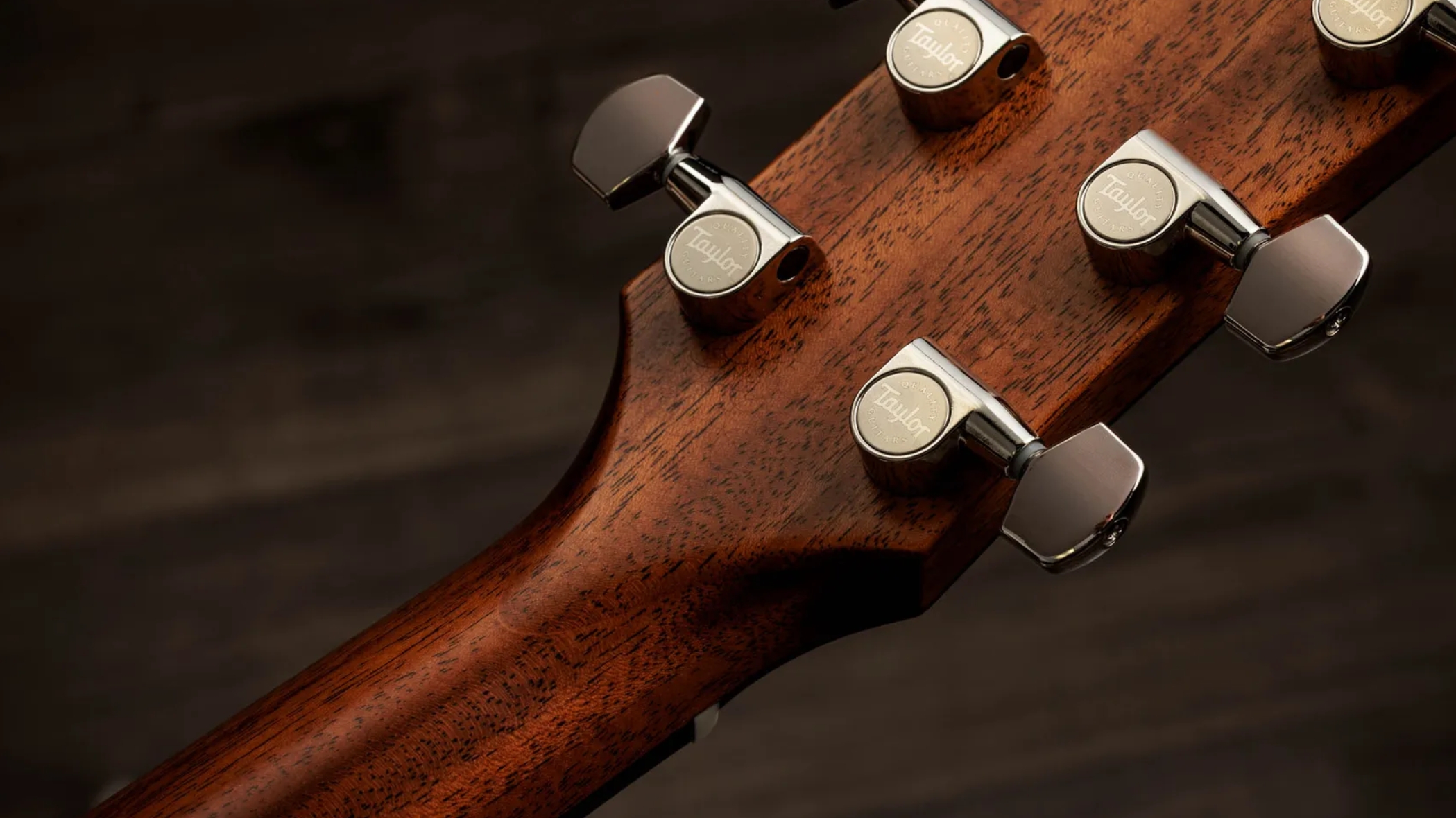 Taylor 717e Gold Label Grand Pacific Epicea Palissandre Eb - Natural - Guitarra folk - Variation 8