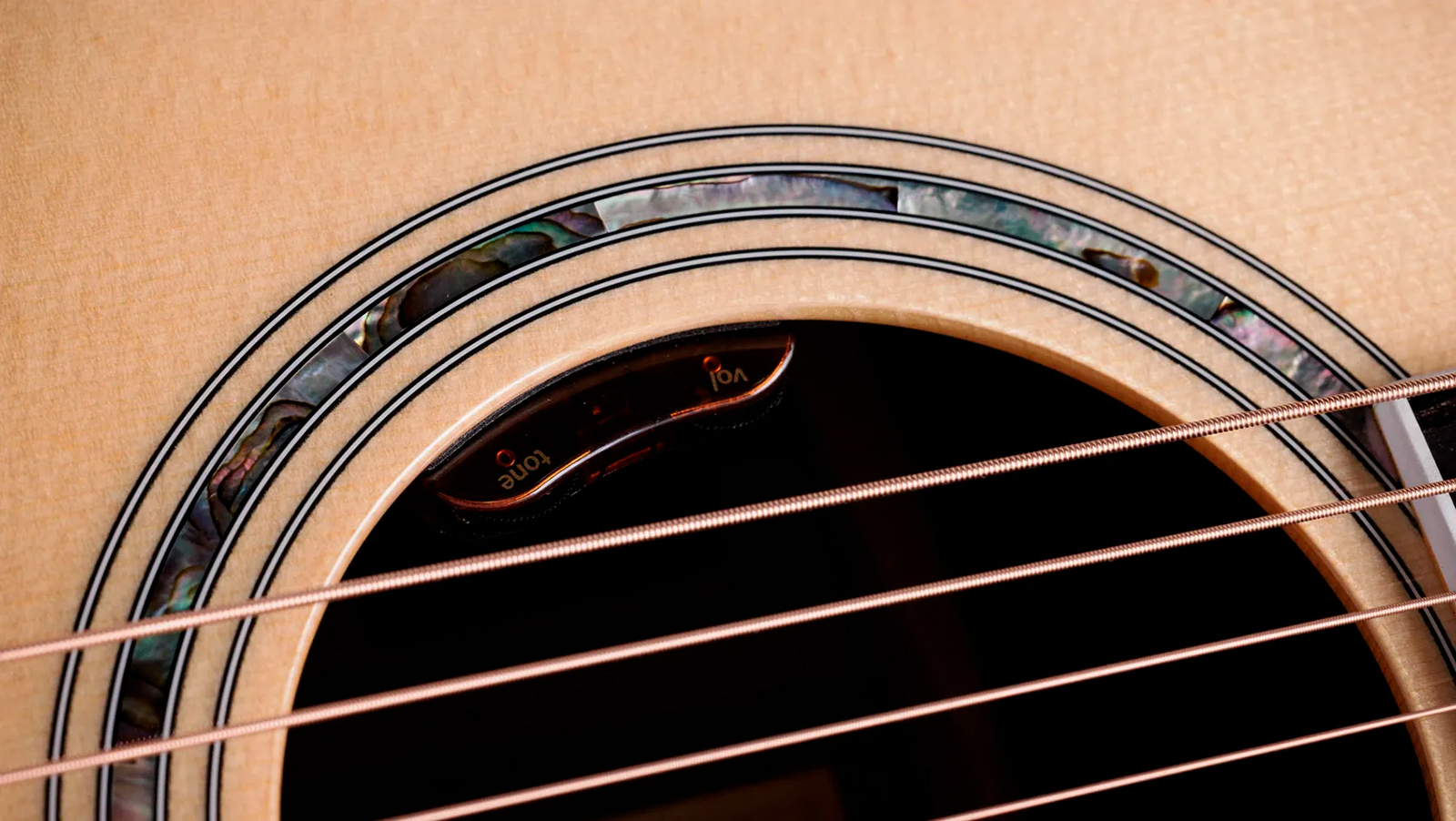 Taylor 810e Legacy Dreadnought Epicea Palissandre Eb Lr Baggs Vtc - Natural - Guitarra folk - Variation 5