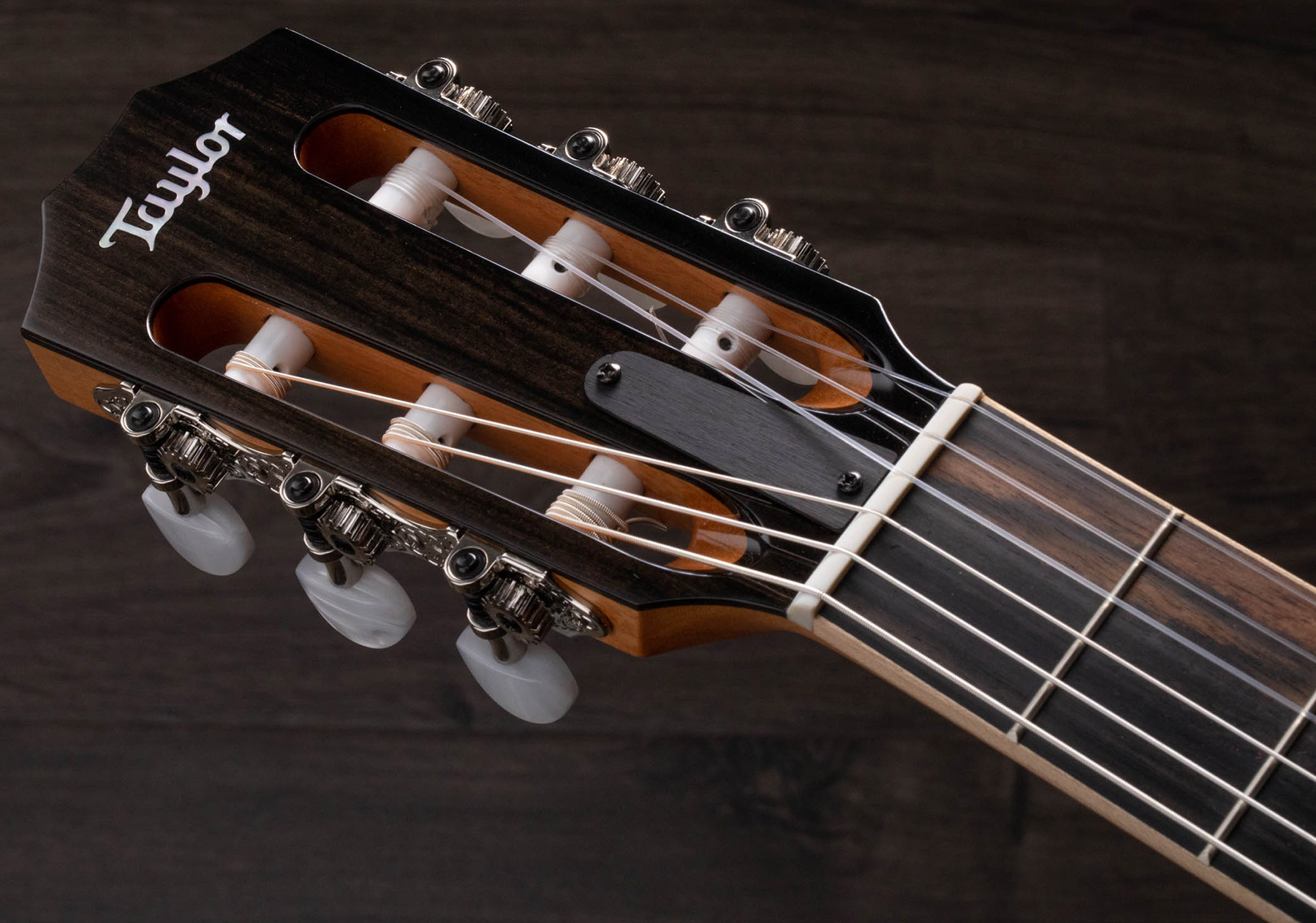 Taylor Guitare Classique Format 4/4 - Electro-acoustique - Guitarra clásica 4/4 - Variation 5