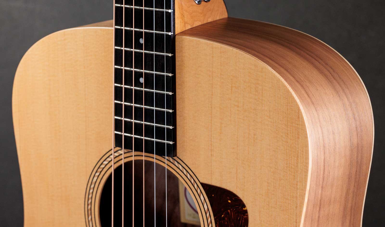 Taylor Academy 10 Dreadnought 2024 Epicea Sapele Eb - Natural Matte - Guitarra folk - Variation 2