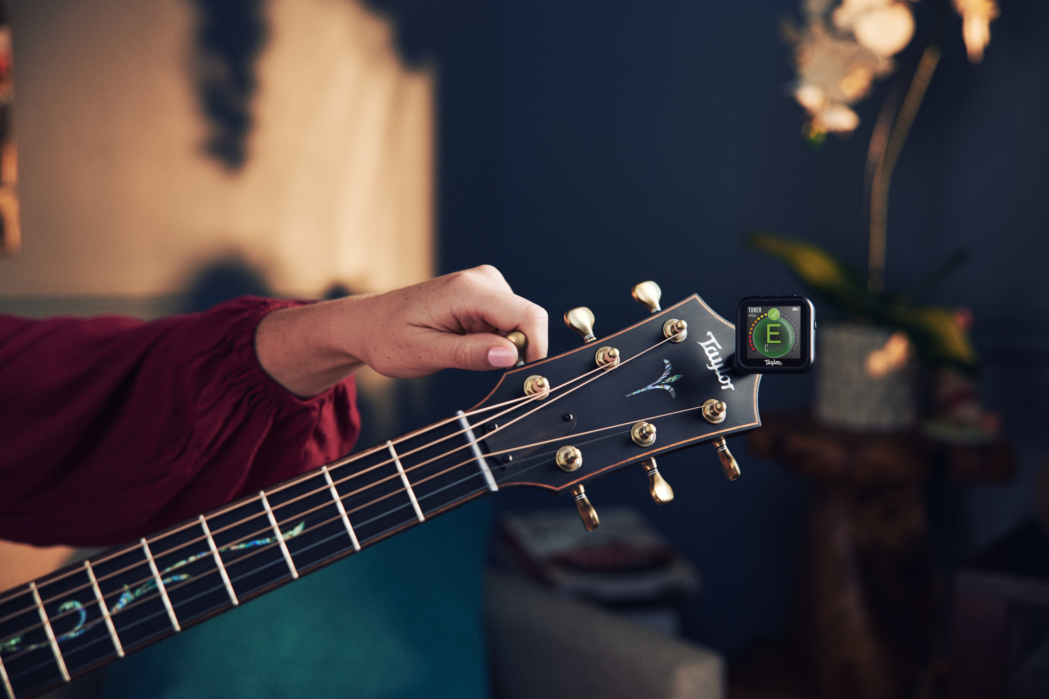 Taylor Beacon Clip-on Digital 5-way Accessory Black - Afinador de guitarra - Variation 13