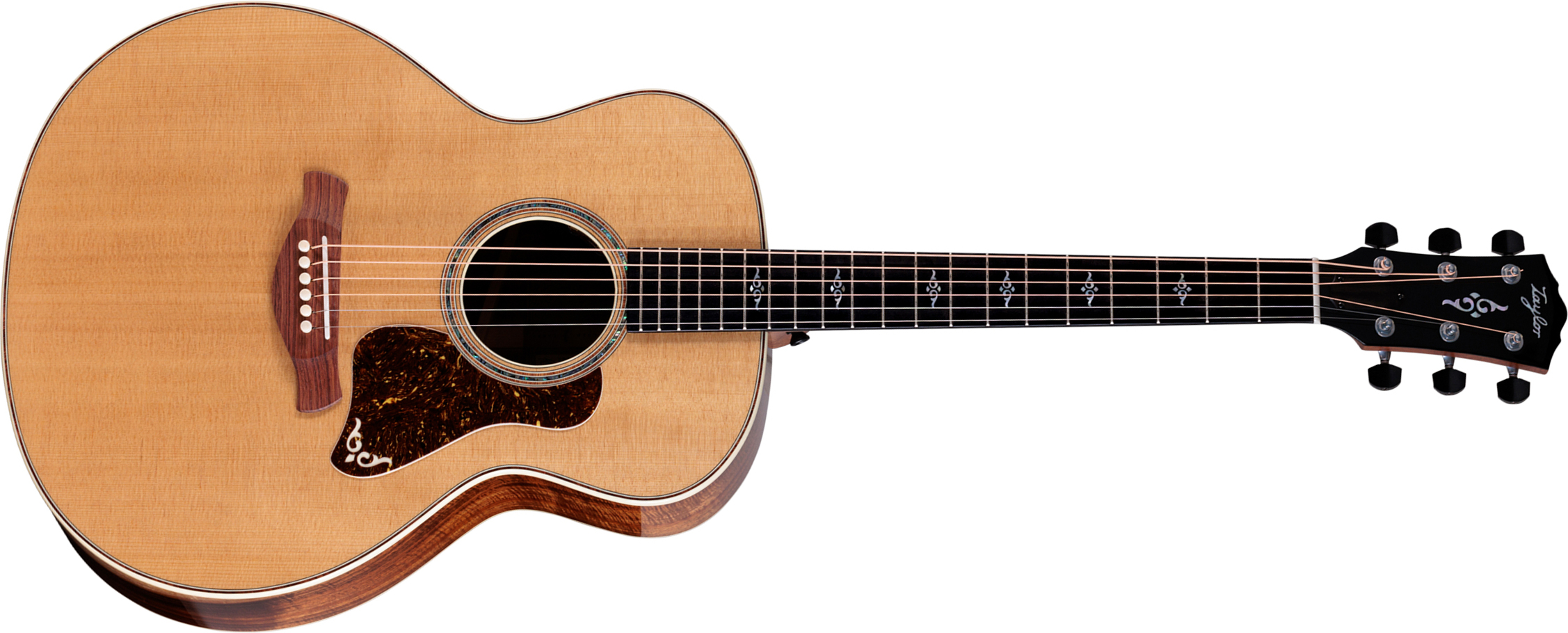 Taylor 814e Koa Gold Label Super Auditorium Cw Epicea Koa Eb Lr Baggs - Natural - Guitarra folk - Main picture