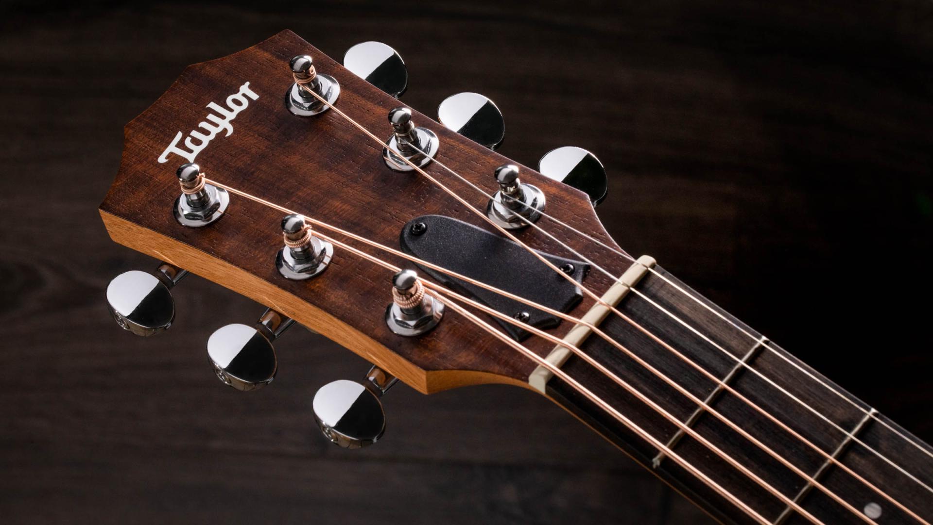 Taylor Gs Mini-e Special Edition Parlor Shsc Epicea Sapele Eb Es-b - Olive - Guitarra folk - Variation 4