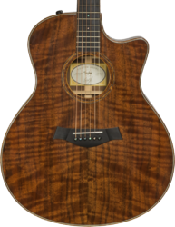 Guitarra folk Taylor Custom GS-e #B9675 - Natural