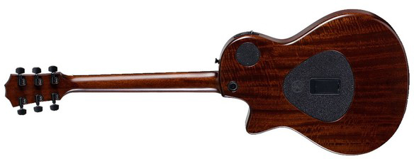 Taylor T5z Standard Epicea Sapele Eb - Honey Sunburst - Guitarra eléctrica semi caja - Variation 1