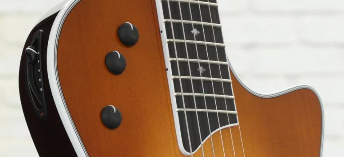 Taylor T5z Standard Epicea Sapele Eb - Honey Sunburst - Guitarra eléctrica semi caja - Variation 2