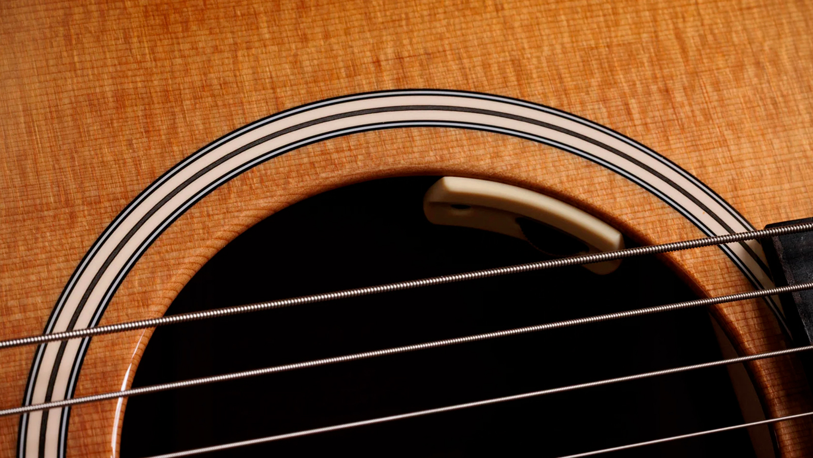 Taylor Trey Hensley 510e Special Ed. Gold Label Dreadnought Epicea Acajou Eb - Antique Blond - Guitarra folk - Variation 4