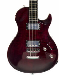 Guitarra eléctrica de corte único. Vigier G.V. Wood - Burgundy fade