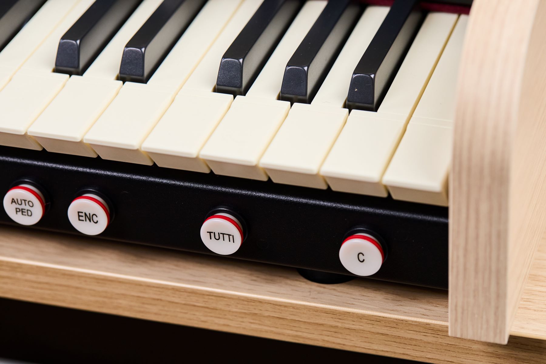 Viscount Cantorum Duo Plus - Organos portatil - Variation 11