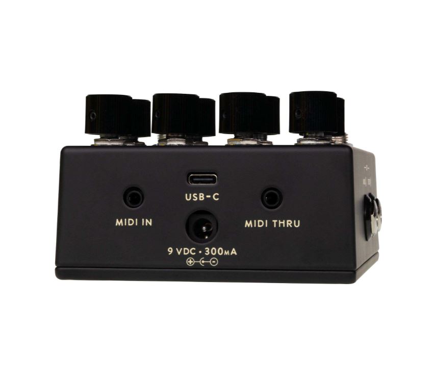 Walrus Audio Fable Mkii Black - Pedal de reverb / delay / eco - Variation 1