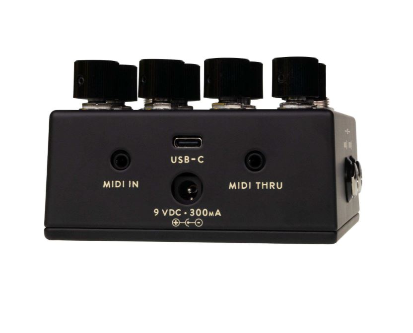 Walrus Audio Lore Mkii Black - Pedal de reverb / delay / eco - Variation 1