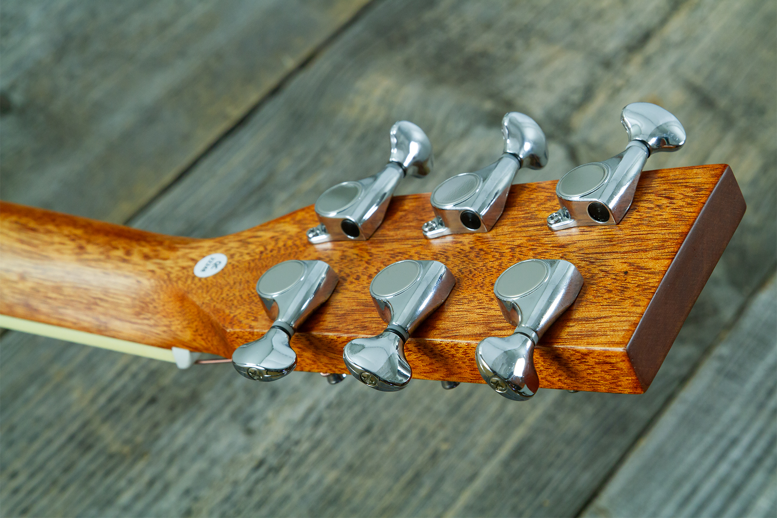 Wesland Bg350-nat Travel Shsc Tout Acajou Tec - Natural - Guitarra folk - Variation 8
