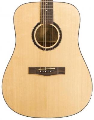 Guitarra acústica & electro Wesland DR1-M - Natural
