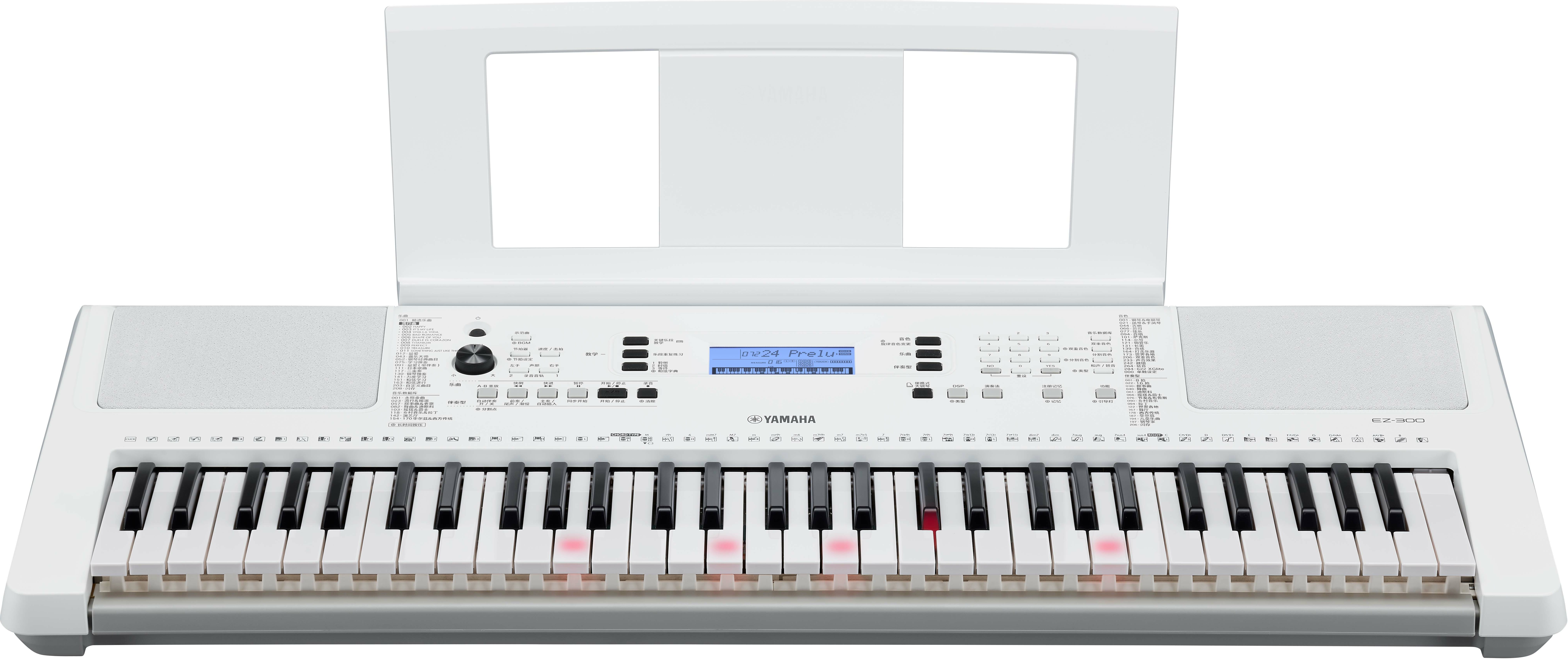 Yamaha Ez 300 - Teclado de entertainer / Arreglista - Main picture