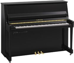 B20 PE TransAcoustic