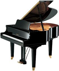Piano de cola  Yamaha GB1 KSC3 PE