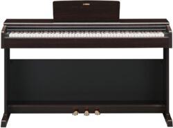 YDP-145 R