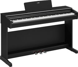YDP-146 B