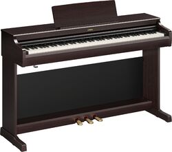 YDP-166 R