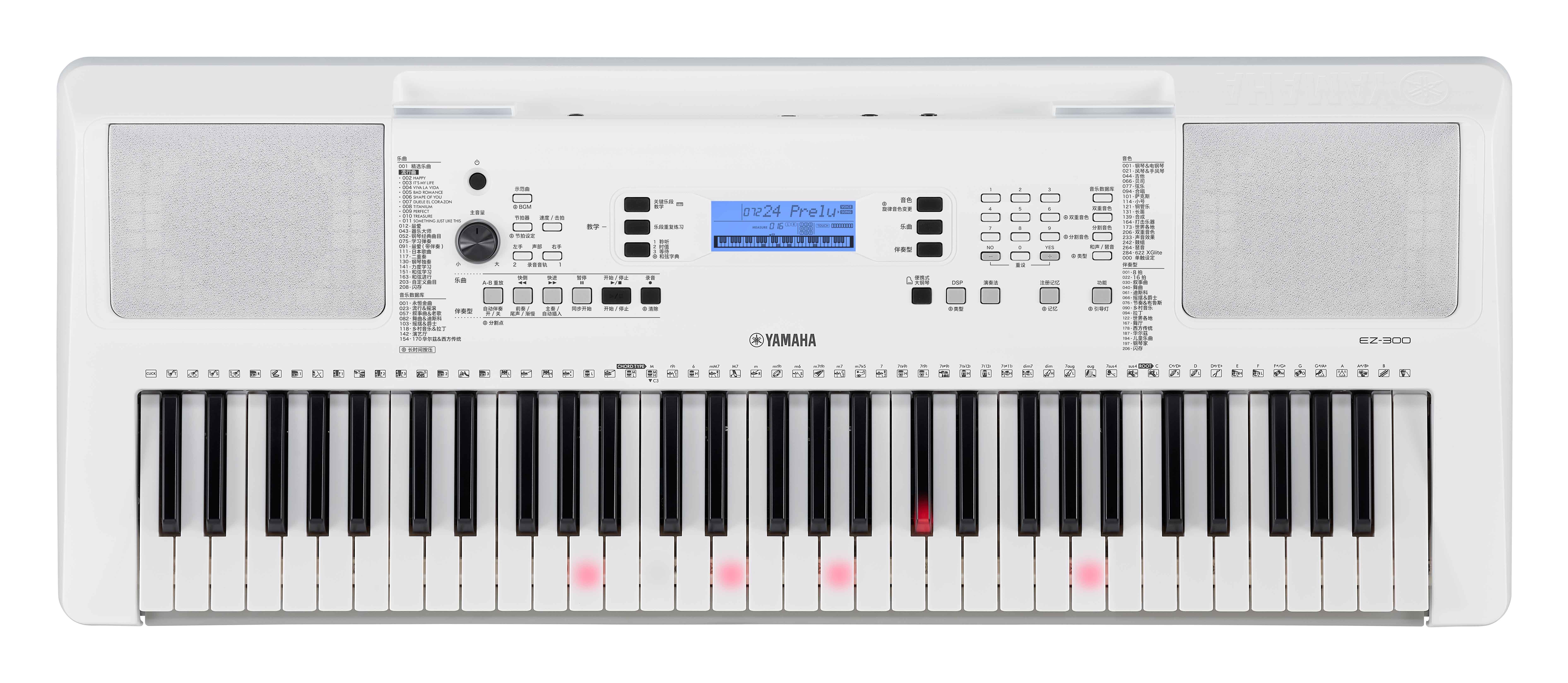 Yamaha Ez 300 - Teclado de entertainer / Arreglista - Variation 1