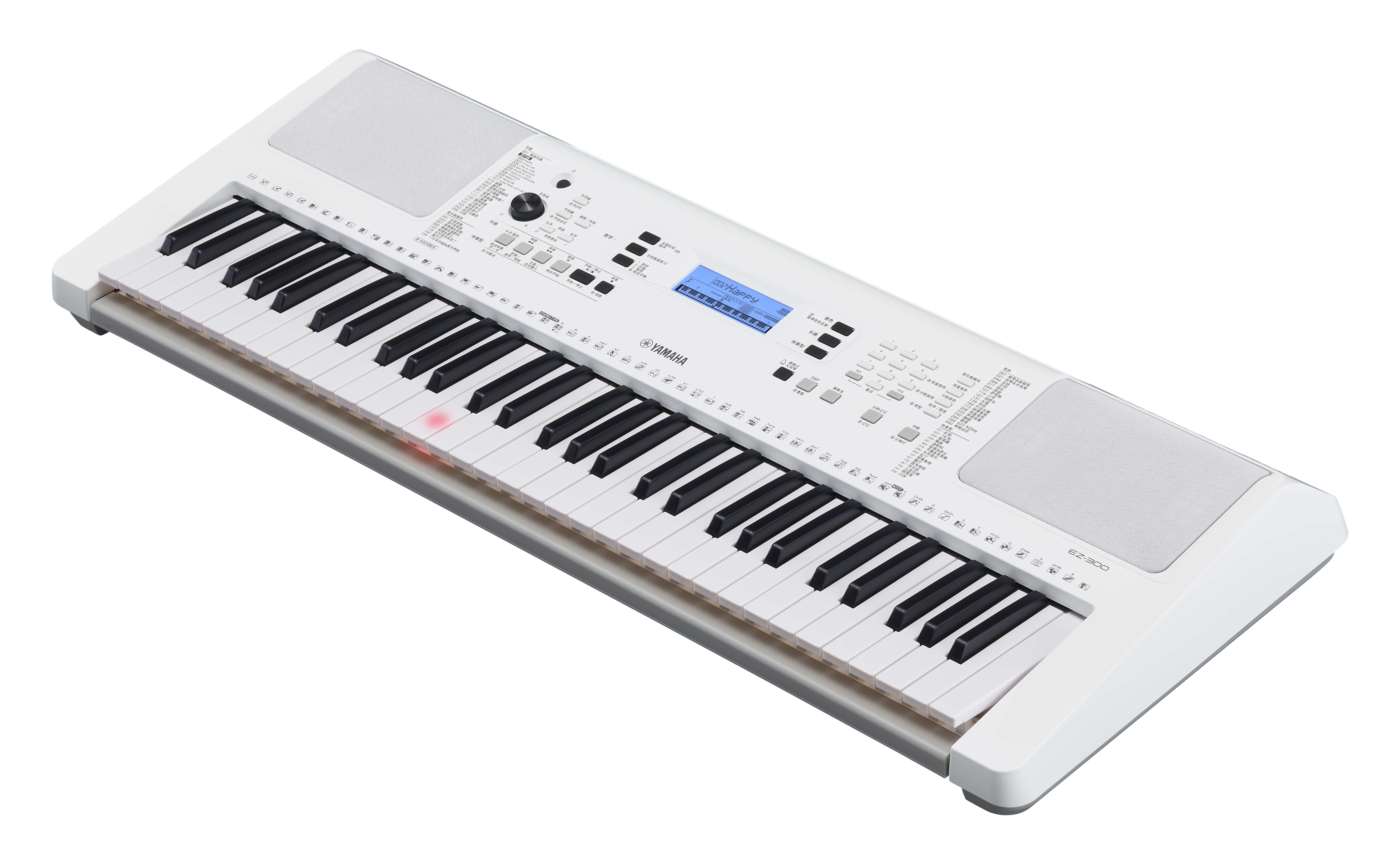 Yamaha Ez 300 - Teclado de entertainer / Arreglista - Variation 3