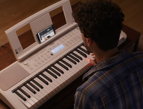 Yamaha Ez-310 - Teclado de entertainer / Arreglista - Variation 7