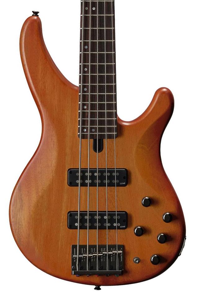 TRBX505 BRB 5-String - Brick Burst