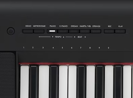 Yamaha Np-15 B - Piano digital portatil - Variation 9