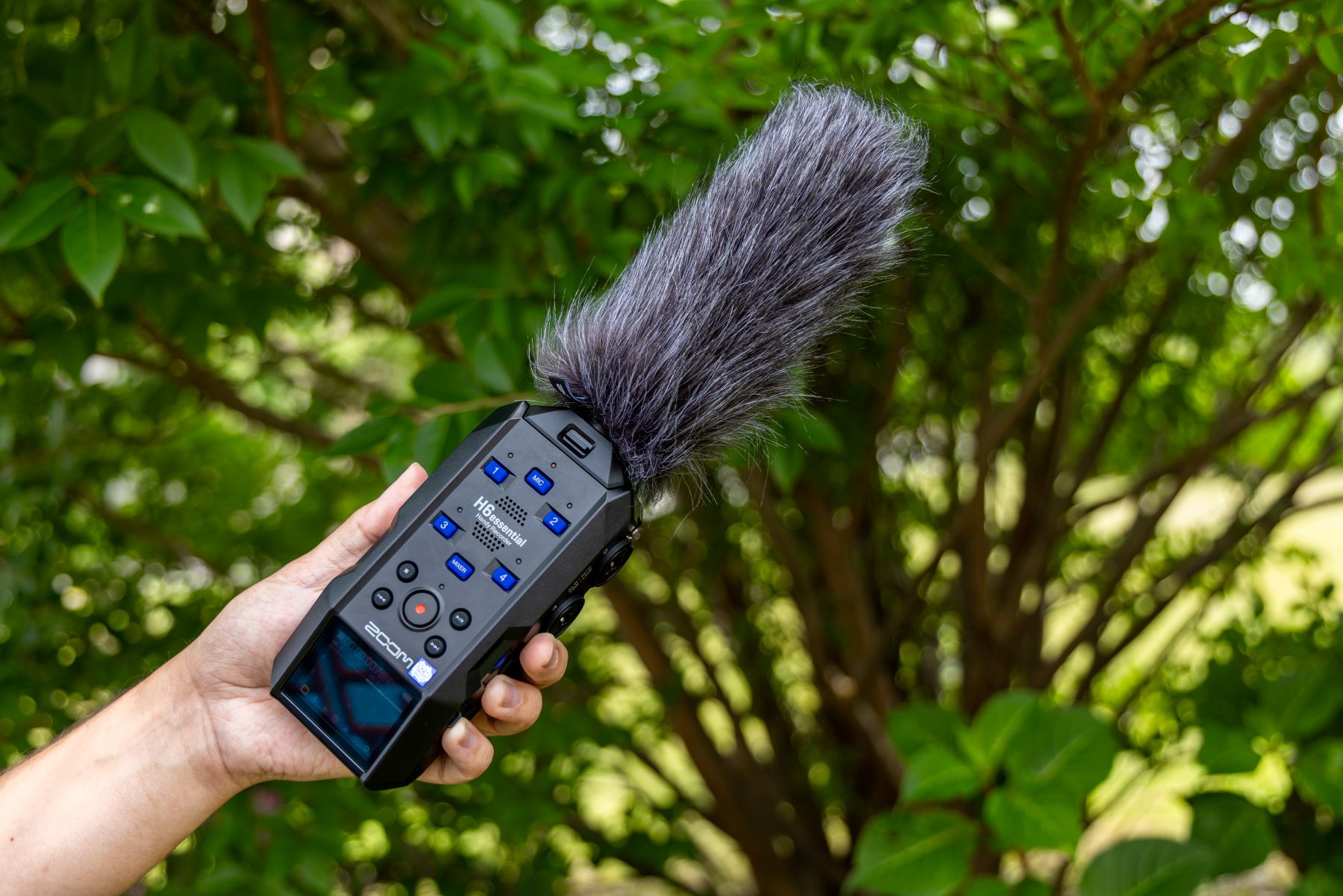Zoom Ssh-6e - Microphone Pour Zoom H6e - Cápsula de recambio para micrófono - Variation 9